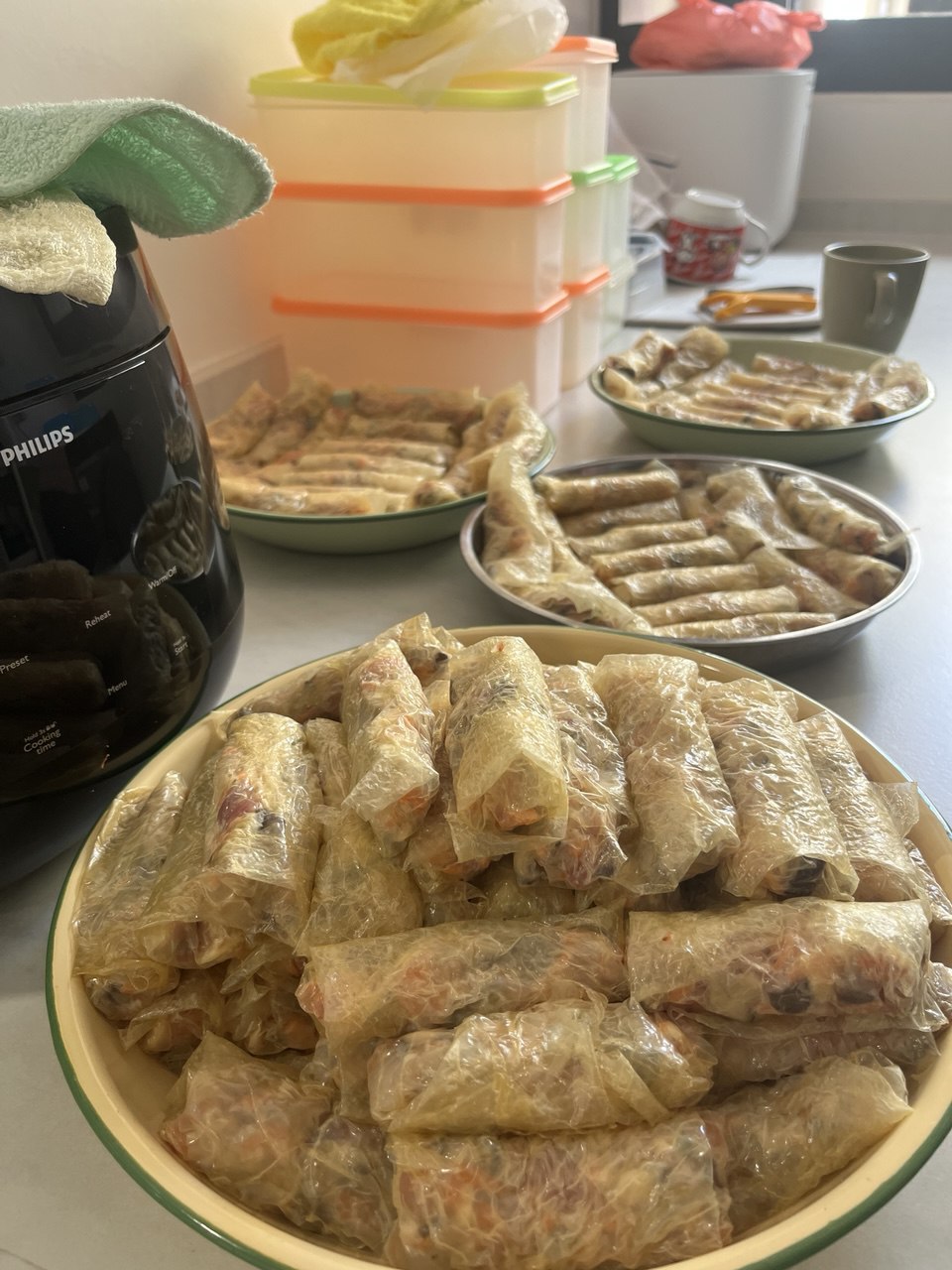 Plates filled with freshly wrapped ngoh hiang, ready for cooking.