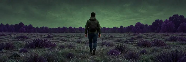 Concept illustration, not a dataset sample: a person walking through a field in simulated enhanced night vision.